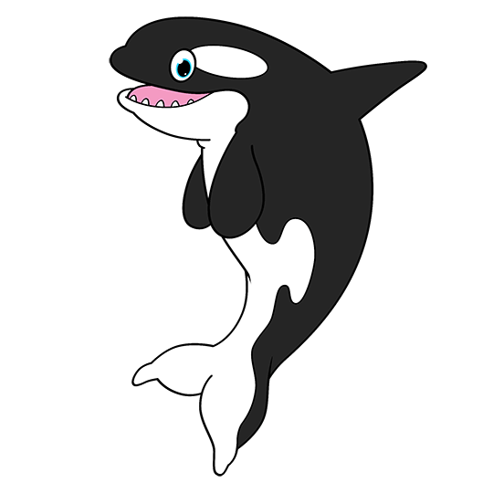 540x540 Cartoon Orca Step