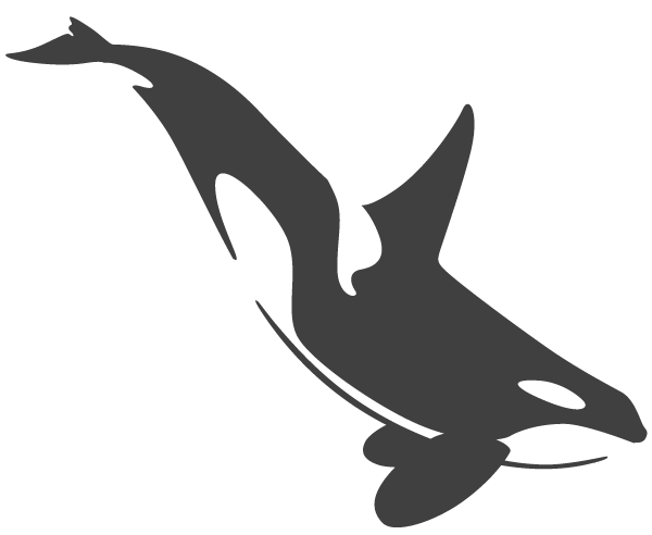 600x492 Collection Of Free Orca Drawing Head Download On Ui Ex