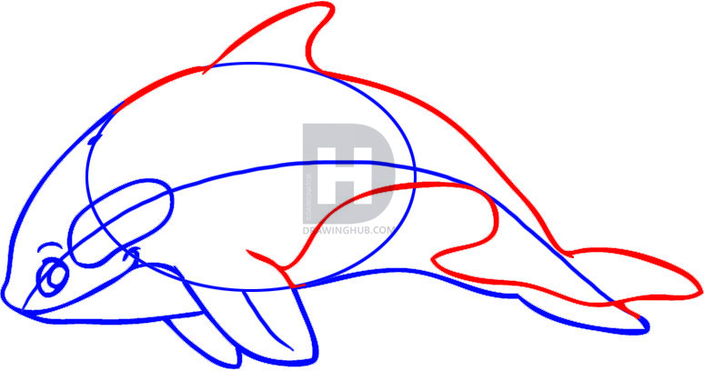 774x408 How To Draw A Cartoon Killer Whale, Step
