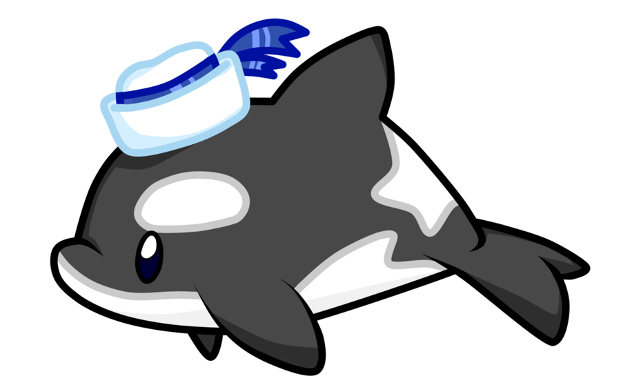 900x558 Huge Collection Of 'cute Orca Drawing' Download More Than