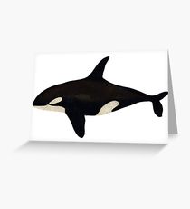 210x230 Killer Whale Drawing Greeting Cards Redbubble