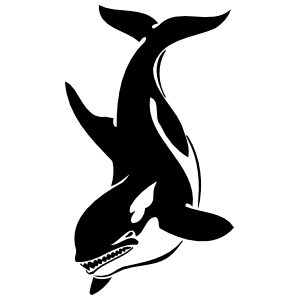 300x300 Killer Whale Swimming Down Sticker