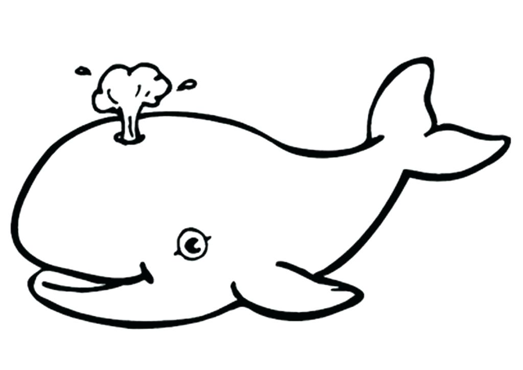 1024x724 How To Draw A Whale Easy Running