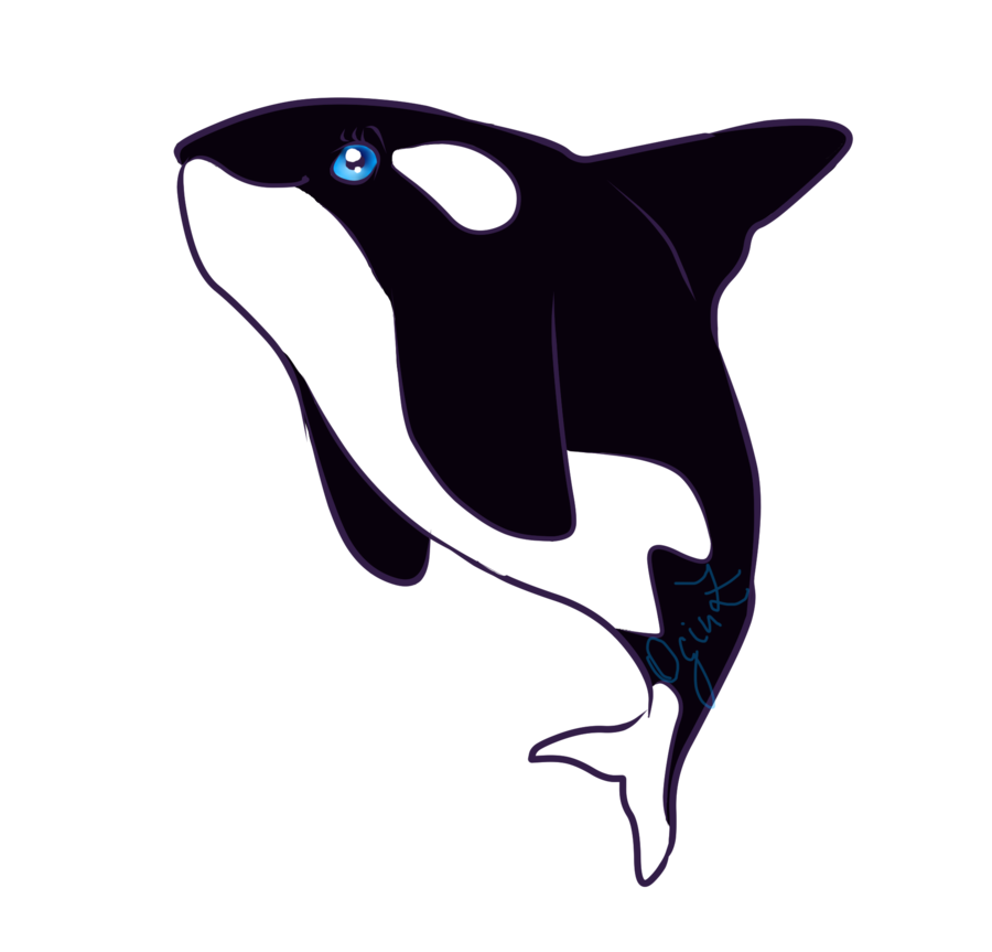 900x863 Collection Of Free Orca Drawing Killer Whale Download On Ui Ex