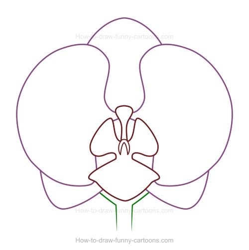 500x503 How To Draw An Orchid