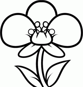 288x302 How To Draw How To Draw An Orchid For Kids