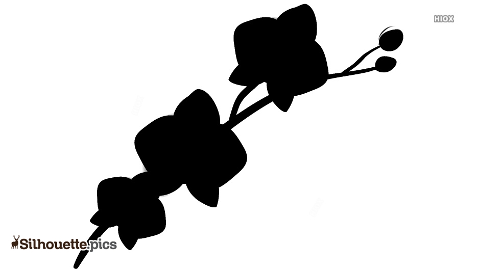 934x534 Orchid Flower Silhouette Drawing Silhouette Pics
