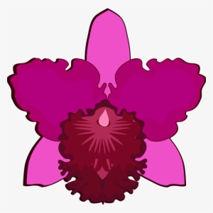300x300 orchid png, transparent orchid png image free download