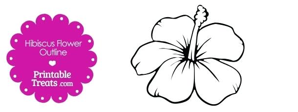 610x229 Hibiscus Flower Outline Outline Orchid Flower Tattoos Design
