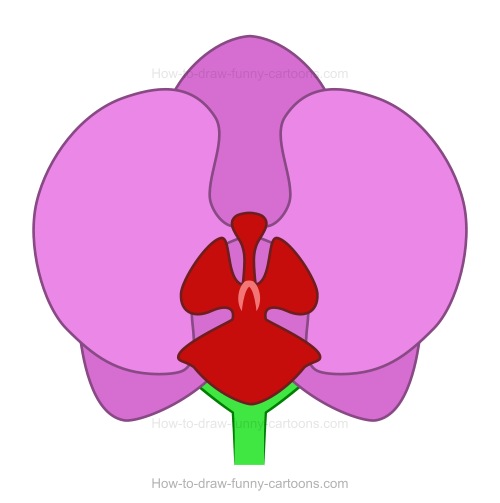500x503 How To Draw An Orchid