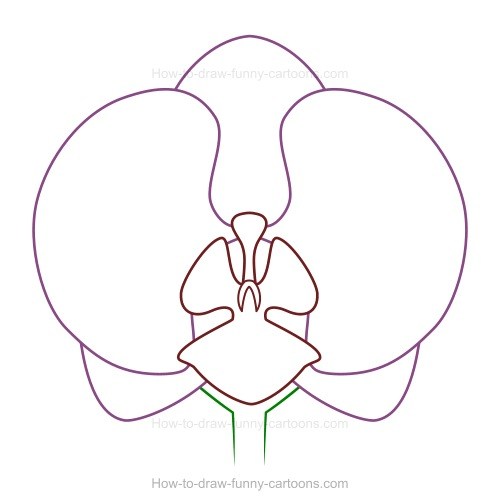 500x503 Orchid Landscape Drawing Easy Pictures And Ideas On Pro Landscape