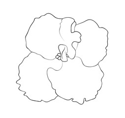 254x240 Vector Illustration, Isolated Orchid Flower In Black And White