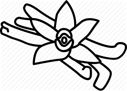 512x368 Baking, Extract, Flavoring, Orchid, Pod, Spice, Vanilla Icon