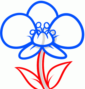 288x302 How To Draw How To Draw An Orchid For Kids