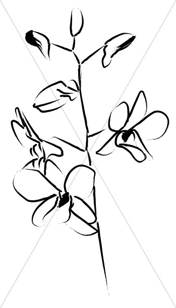 349x612 Orchid Blossoms Unfold Church Flower Clipart