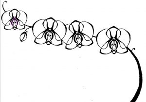 300x210 Orchid Drawing Easy Learn How To Draw Orchids, Flowers, Pop