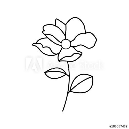 500x500 Website, Isolated, Rose, Floral, Chrysanthemum, Orchid, Blank
