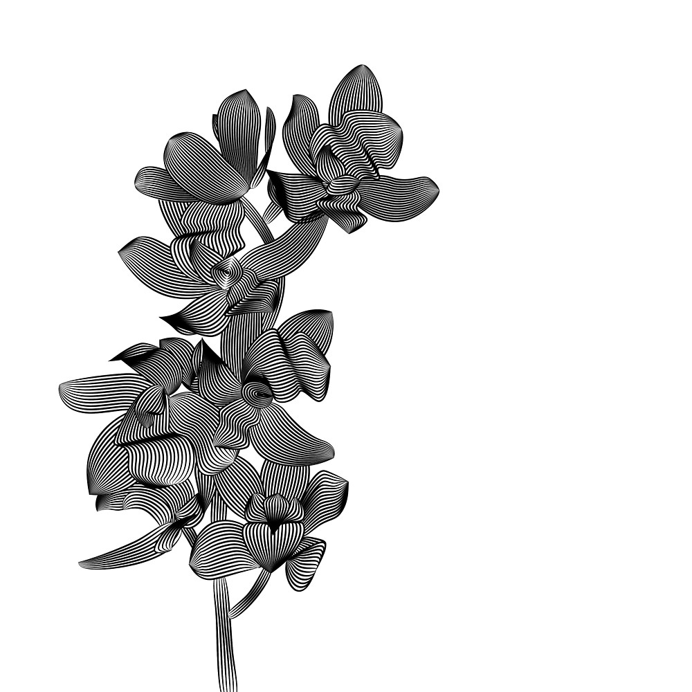 1000x1000 Linocut Orchid