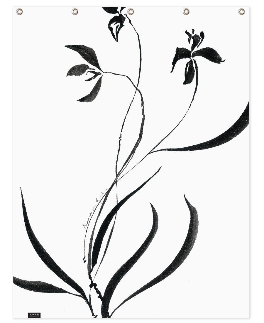 900x1100 Orchid As Postcard Set