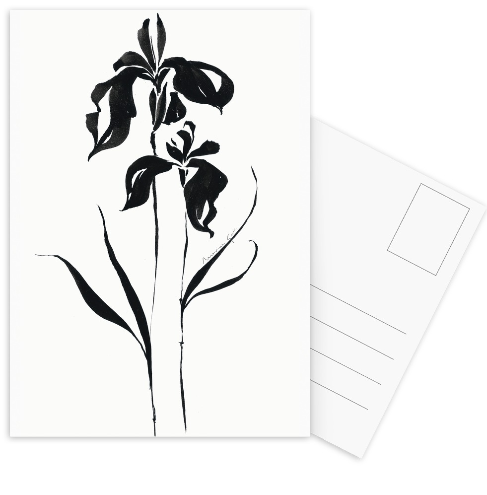 981x997 Orchid As Postcard Set