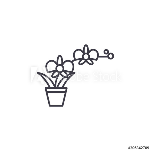 500x500 orchid pot line icon, vector illustration orchid pot flat concept