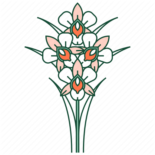 512x512 asia, botany, culture, orchid flower, ornament, thai orchid