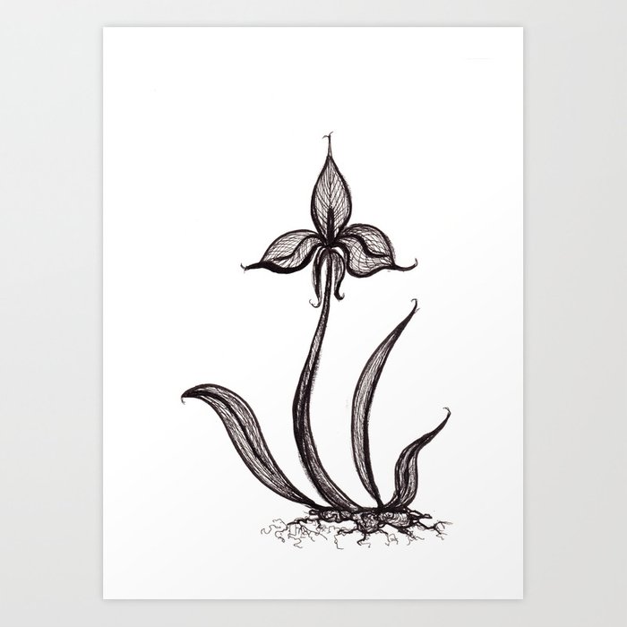 700x700 Black Ink Orchid Flower Art Print