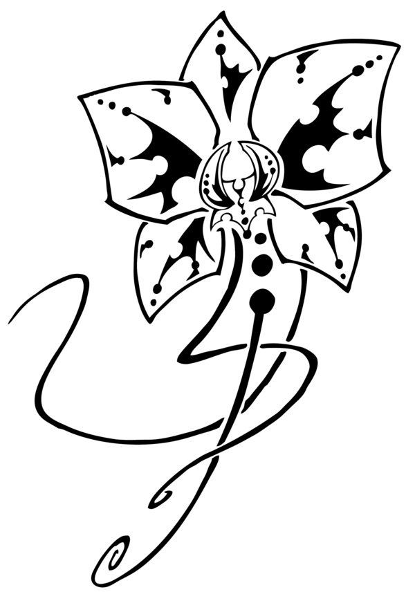 600x885 Collection Of Free Orchids Drawing Black And White Download On Ui Ex