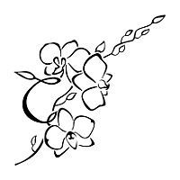 200x200 Cooktown Orchid