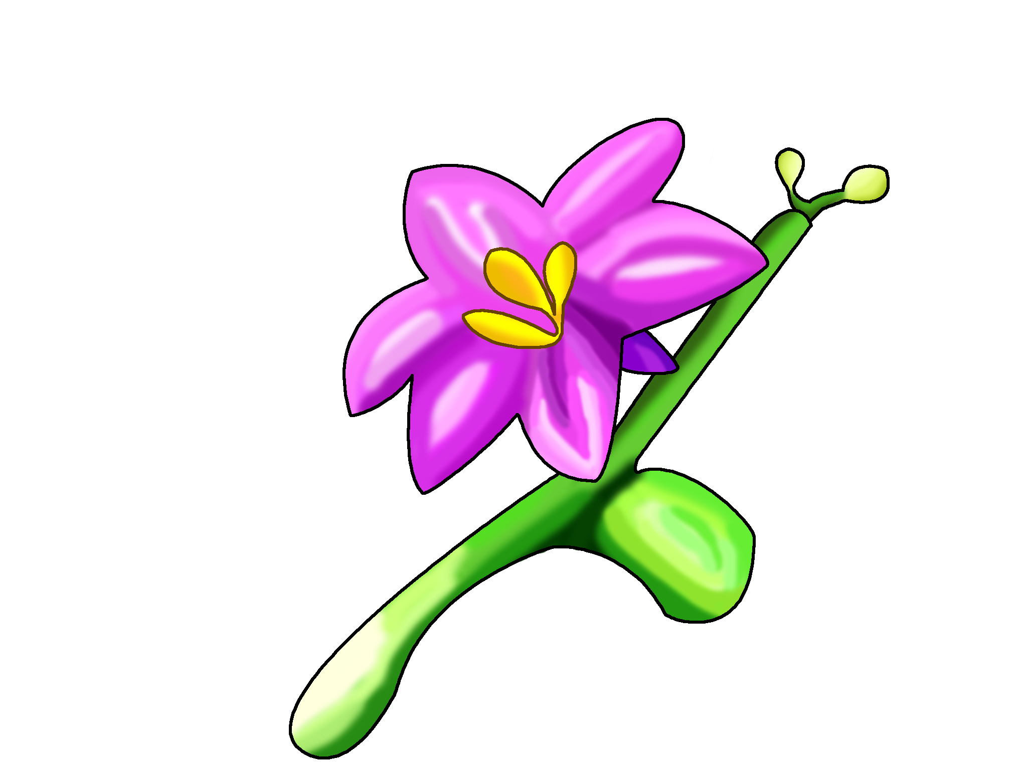 2048x1536 Giant Orchid Clipart