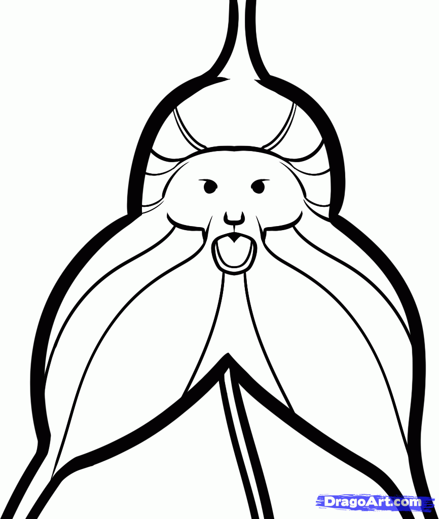 866x1024 How To Draw A Monkey Orchid, Step