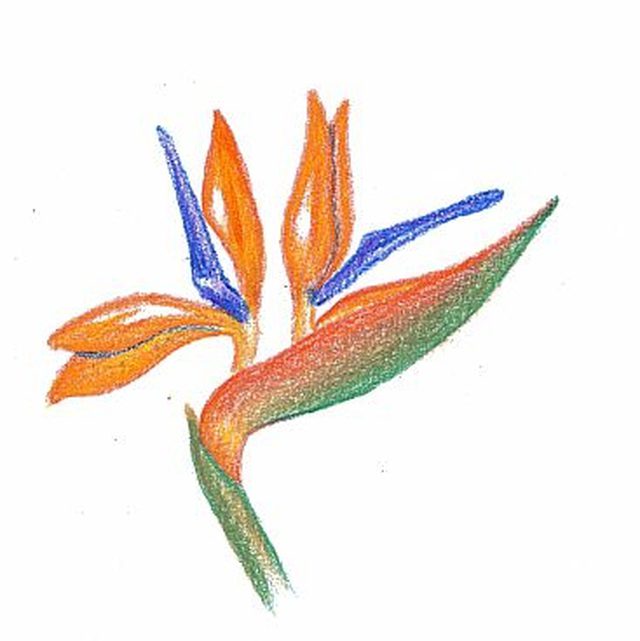 640x641 How To Shade With Colored Pencils Ehow