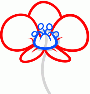 288x302 How To Draw How To Draw An Orchid For Kids