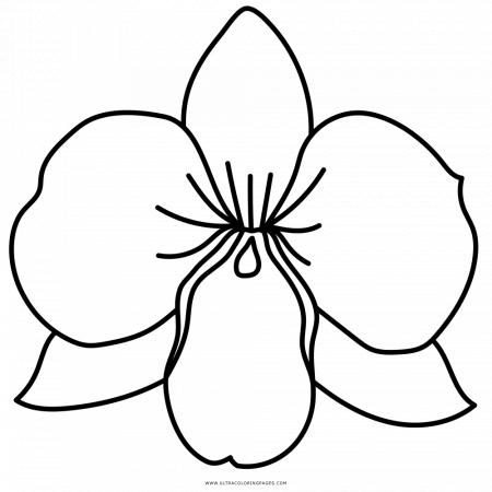 450x450 Orchid Cliparts