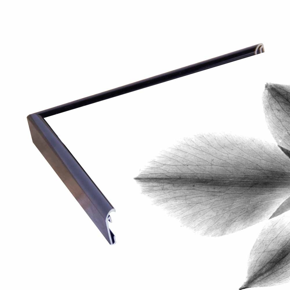 1000x1000 Shop Orchid, Phalenop X Ray Print