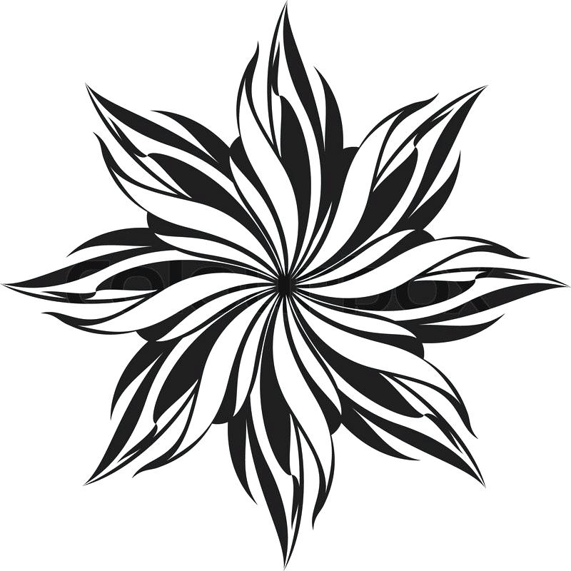 800x800 Black White Flower Drawings