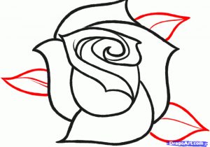 300x210 Sketch Drawing Of Flower Orchid Sketch Faith Te