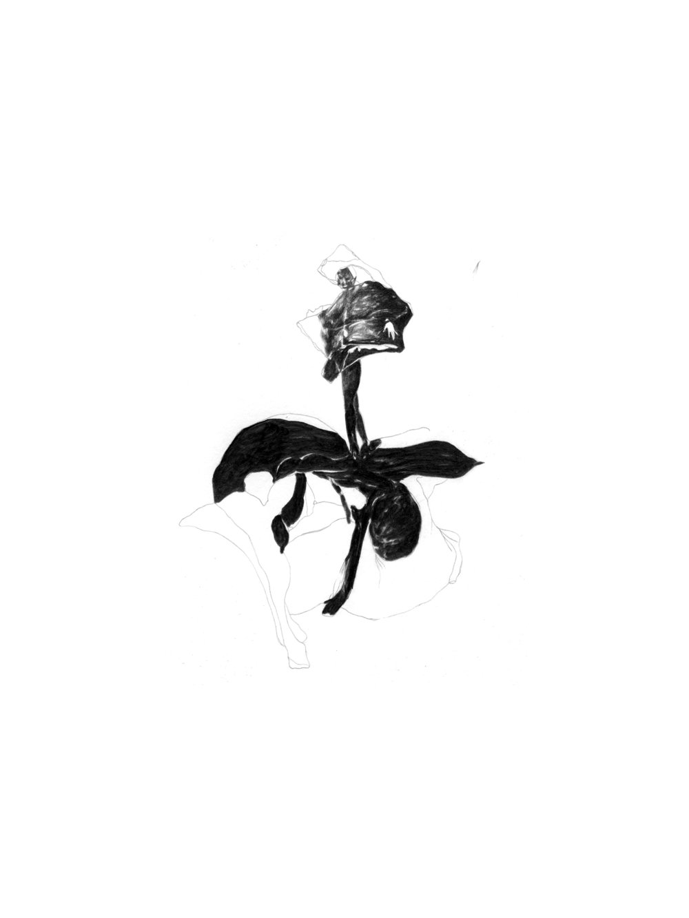 1000x1333 Works Gypsum Gallery