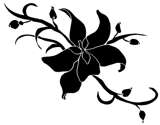 550x432 Cattleya Flower Tattoo