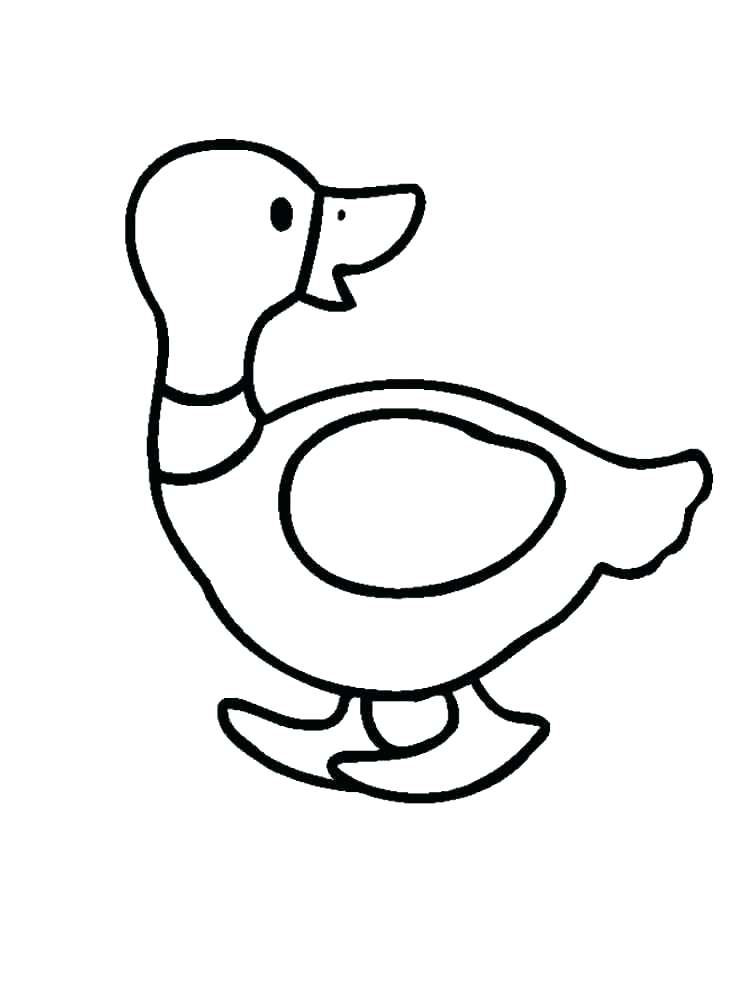 750x1000 oregon ducks coloring pages ducks drawing at free for personal use
