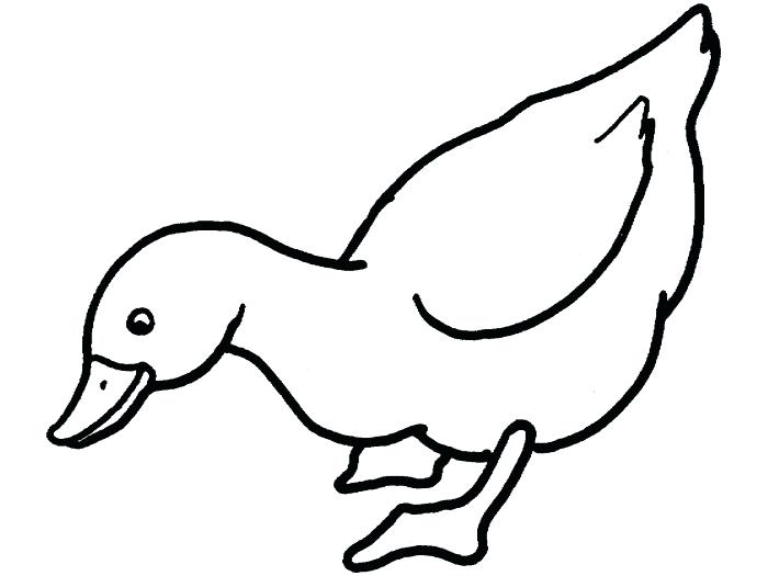 700x525 Duck At The Door Coloring Sheet Duck Drawing Kids At Duck