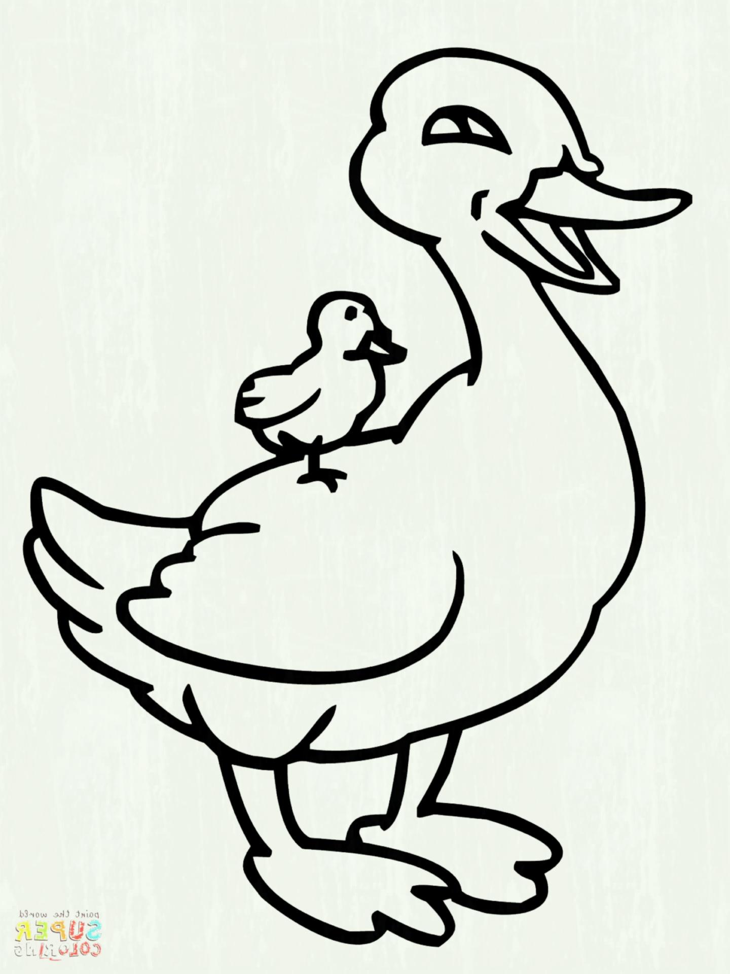 1440x1920 Cartoon Duck Drawing Drawing Easy