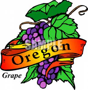 292x300 Oregon State Flower, The Grape