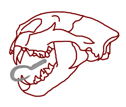 430x366 Collection Of Free Grenade Drawing Organ Download On Ui Ex