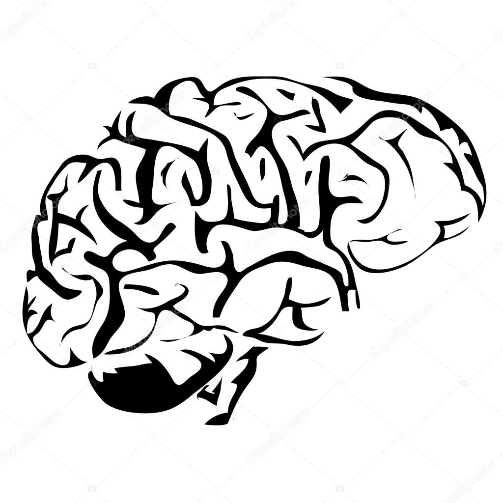 1024x1024 Organ Drawing Internal Body Part For Free Download