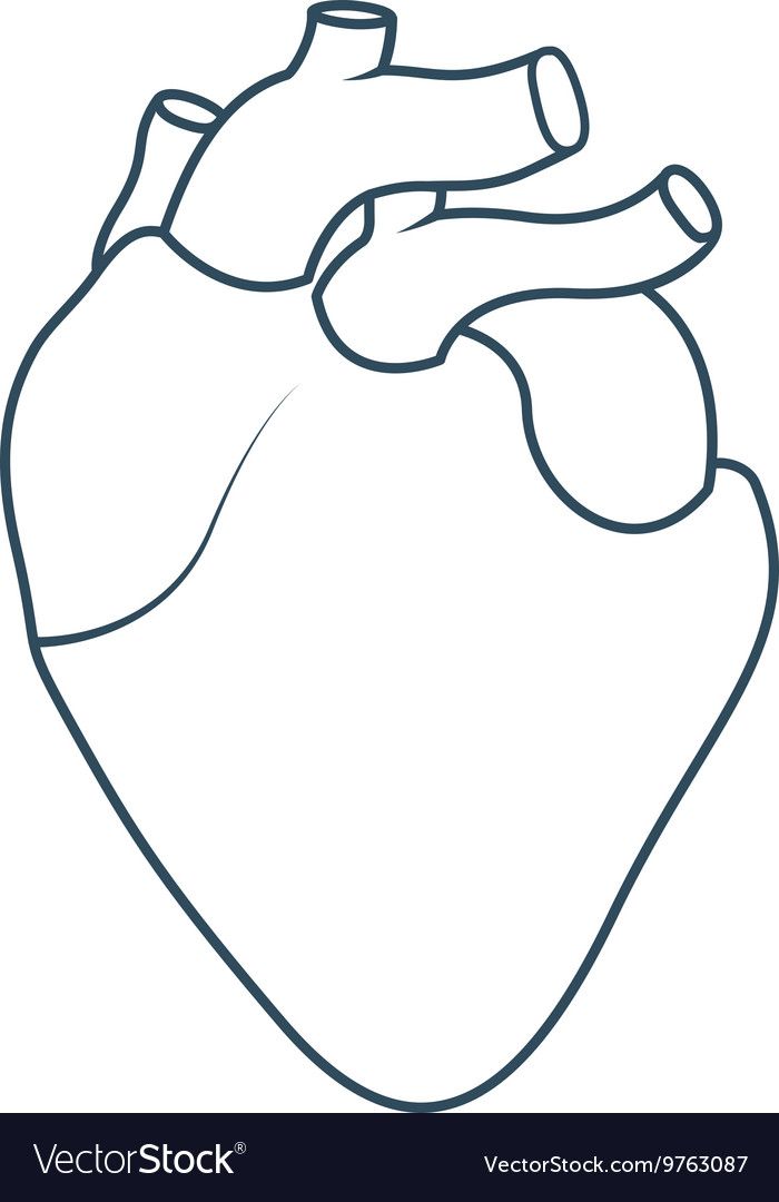 700x1080 Heart In Heart Anatomy, Heart