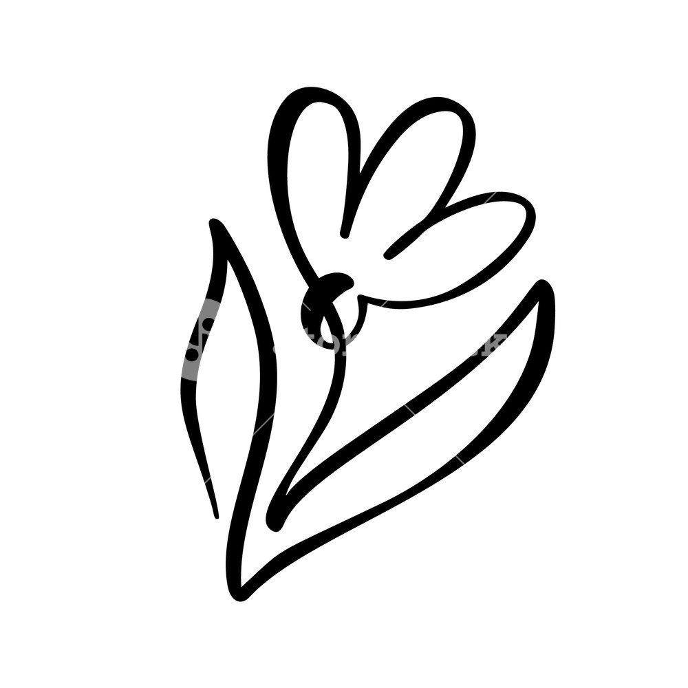 1000x1000 Continuous Line Hand Drawing Calligraphic Vector Flower Concept