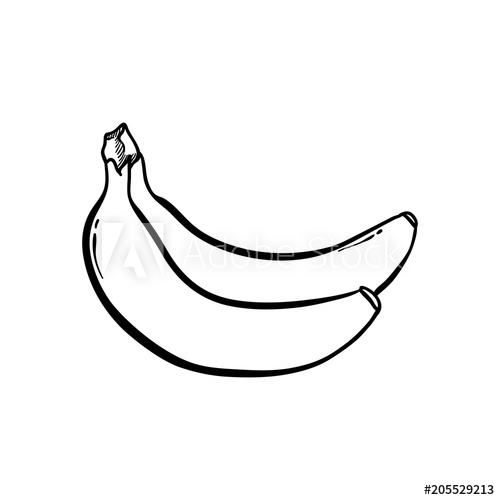 500x500 Banana Hand Drawn Icon Vector Organic Drawing Line Art
