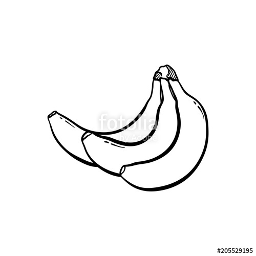 500x500 Bananas Hand Drawn Icon Organic Illustrations Vintage Line Art