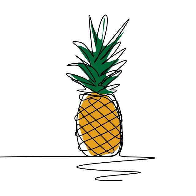 640x640 Pineapple One Continuous Line Art Drawing Vector Illustration